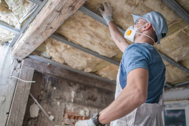 Best Insulation for Specific Applications in Manton, MI
