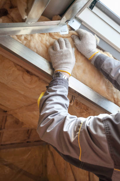 Best Specialized Insulation Services in Manton, MI